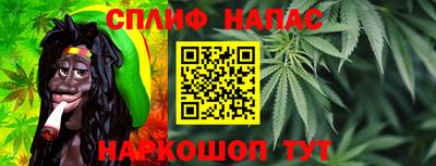 гашик Лесосибирск
