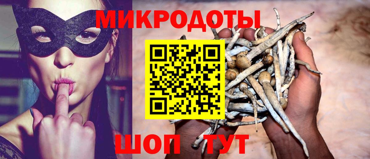 закладка  Вход с VPN  Будённовск  Галлюциногенные грибы Magic Shrooms 