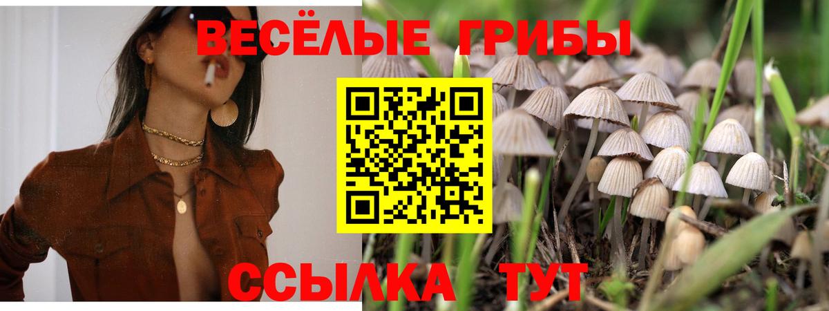 Галлюциногенные грибы Magic Shrooms Будённовск