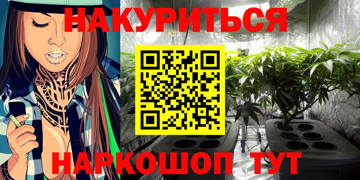 Будённовск  Канабис AK-47  Конопля Ganja  Канабис семена  Вход с VPN 